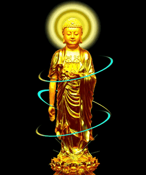 500_600gif 动态图 动图