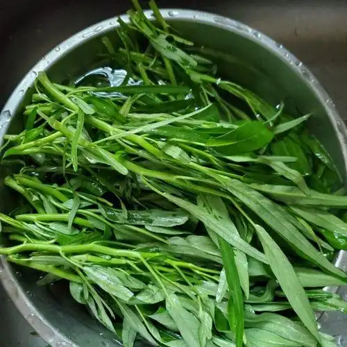 虾皮炒空心菜,十分钟搞定的快手菜