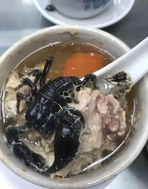 广东人最喜欢煲汤的21款奇葩食材你吃过多少
