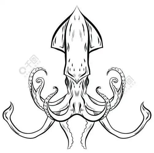 乌贼的轮廓黑白插图对象与背景分离用于在t恤封面纹身草图和您的设计