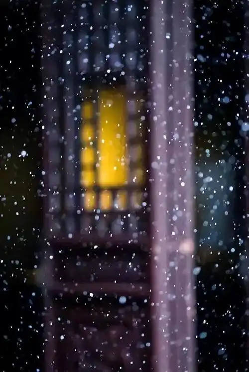 雪景图片伤感人物图片,看看10位名家笔下的雪景,太经典了! 第1张