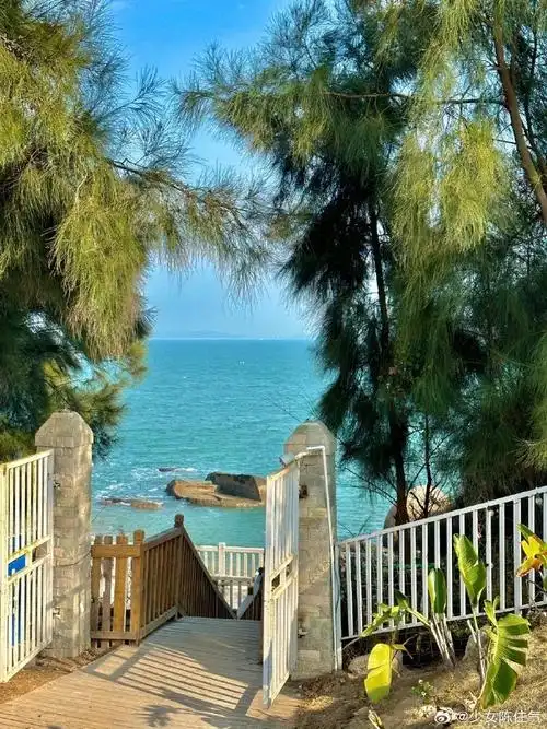 不尝春味不知春##春天的第一口鲜#  大海有种魔力让人感到宁静