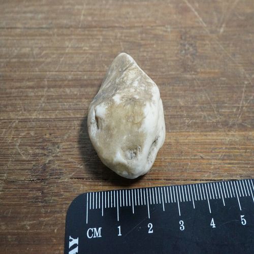 3946号 新疆哈密地表蛋白石 小动物天然奇石原石