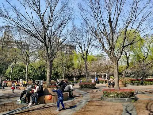 榉树广场上的人群在晒太阳