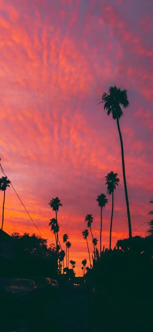 你手机里有晚霞的照片吗? - 知乎