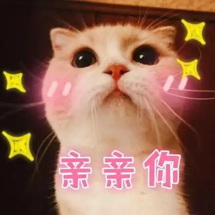 一只可爱猫咪表情包