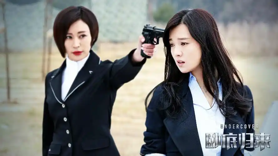 电视剧《卧底归来》海报剧照图片