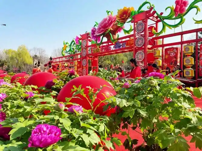 21日,第41届中国洛阳牡丹文化节赏花启动仪式在隋唐城遗址植物园举行