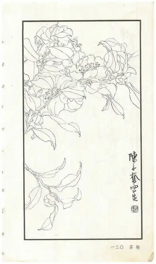 陈子奋白描花卉册图赏多图