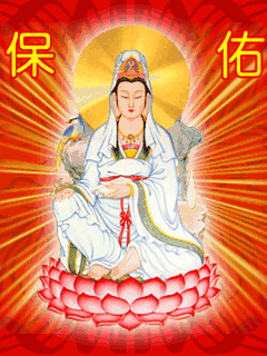 240_320竖版 竖屏gif 动态图 动图