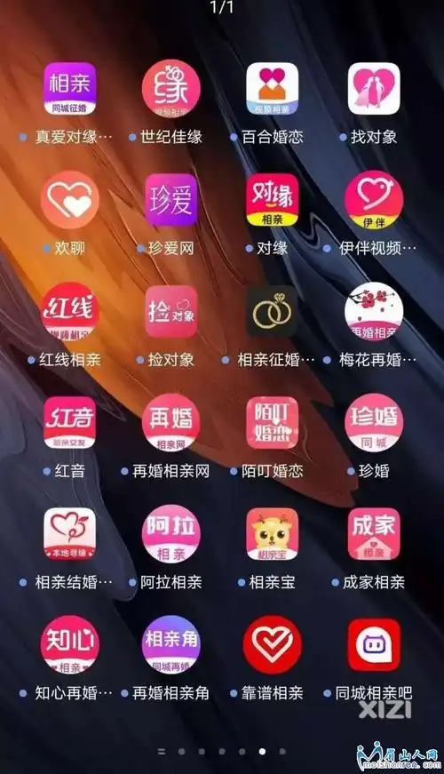 现在人为了找对象也是拼了,手机上装了几十个相亲app