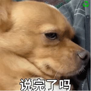 沙雕可爱表情包|没对象 我不找 我就寡着