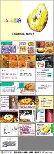 琥珀简介;生字词;读一读;课文结构分析;琥珀是怎样形成的;松脂球形成