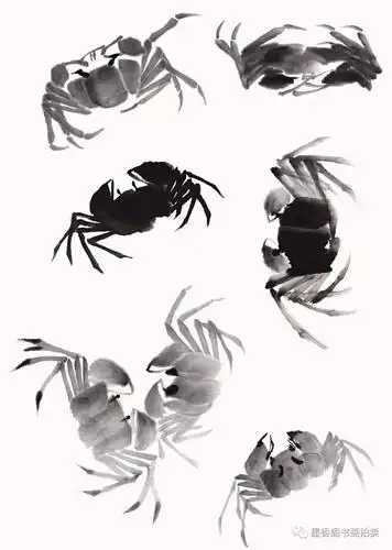 图文教程写意螃蟹画法步骤