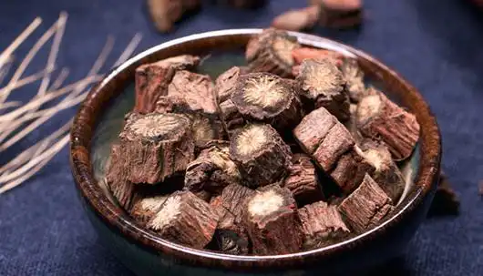 紫丹参 | 云南季