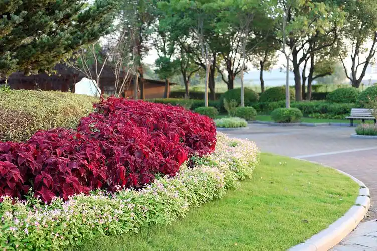 公园花丛草坪草地公园绿化公园景观