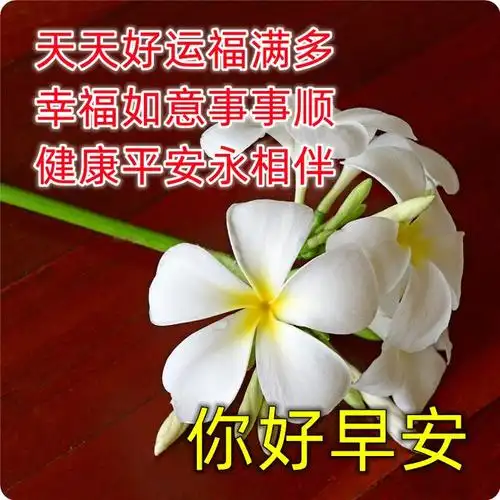 早安祝福暖心图片问候语早安祝福语大全愿平安健康大家早上好