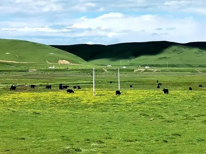 记载先辈不朽历史的草原——红原草原