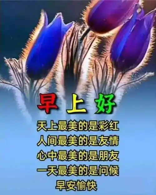 2021夏日清晨友谊早安问候语图片_阳光