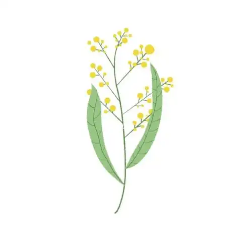 教你如何绘制一张简单的小插画