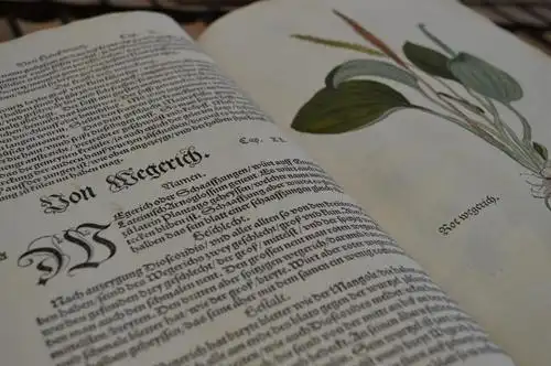 书,老,图书馆,拉丁语,高清图片-回车素材