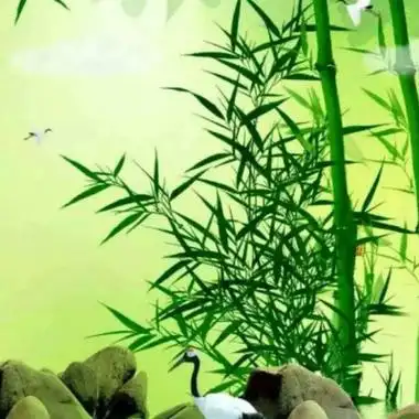 妈妈头像唯美风景花草 中年人爸爸妈妈喜欢的头像 - 微信头像 - 潮人