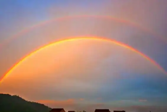 彩虹的颜色是哪七种颜色顺序