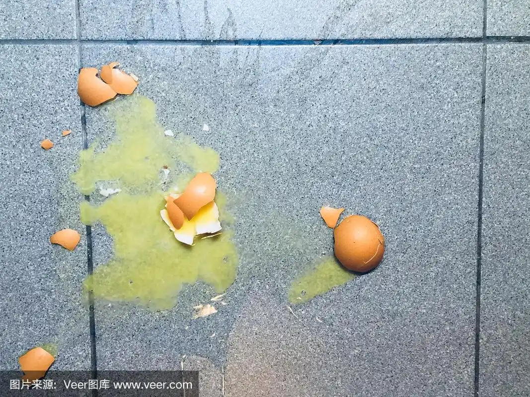 碎鸡蛋掉在地上