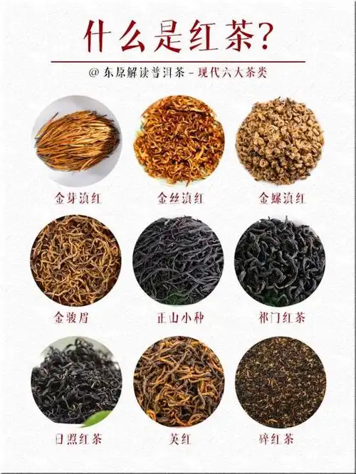 红茶有哪些品种
