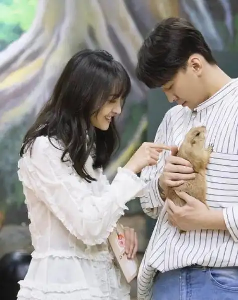 张恒和郑爽(2022年张恒和孩子近况)