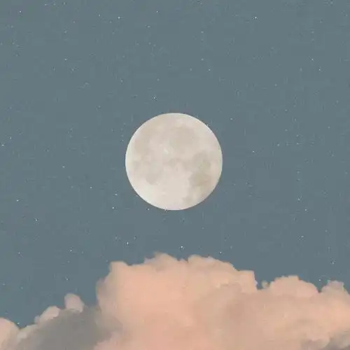 精致背景图别说永远凡事皆有可能