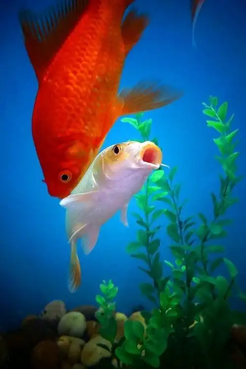 查看大图                           相机:             索尼 dsc-rx