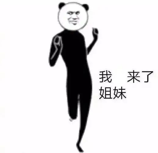 沙雕熊猫头我来了姐妹表情包-表情包网站