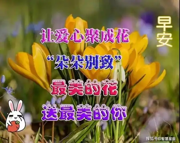 夏天到了周二早上好动图表情包 2021夏季早安问候语图片大全祝福带字