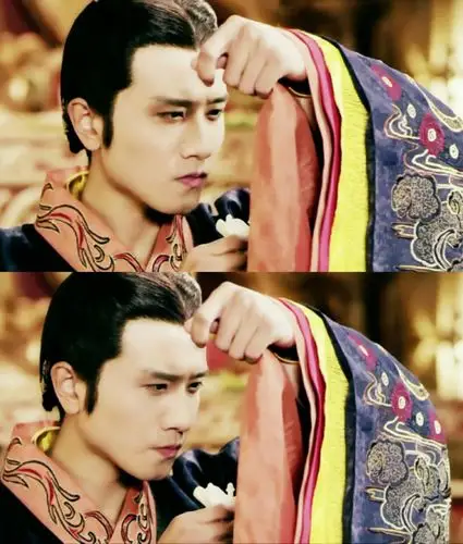 兰陵王妃 宇文邕 彭冠英 元清锁 张含韵 邕锁 图源见水印