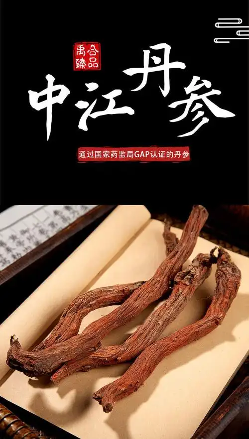 中江紫丹参四川发汗野生肉丹参超特级中药材丹参茶500g 超特级大丹参