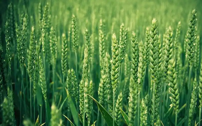 美丽自然风光高清电脑桌面主题壁纸图片下载