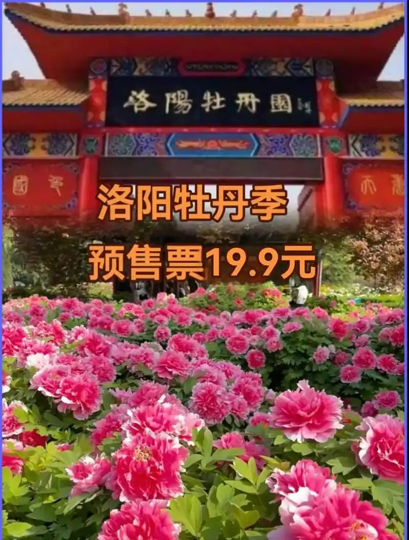 洛阳牡丹园.万紫千红的牡丹总要来看看吧!#洛阳牡丹甲天下 # - 抖音