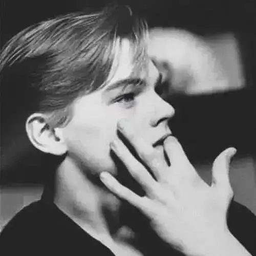 iovemikasa  2020年5月10日 22:06   关注  明星 头像 男神 小李子