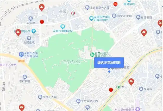 劲爆消息!龙岗布吉康达尔花园四期满五唯一香港业主,户型通透