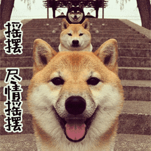 你有哪些超级搞笑的沙雕表情包