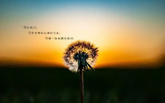 让人心碎伤心的说说图片