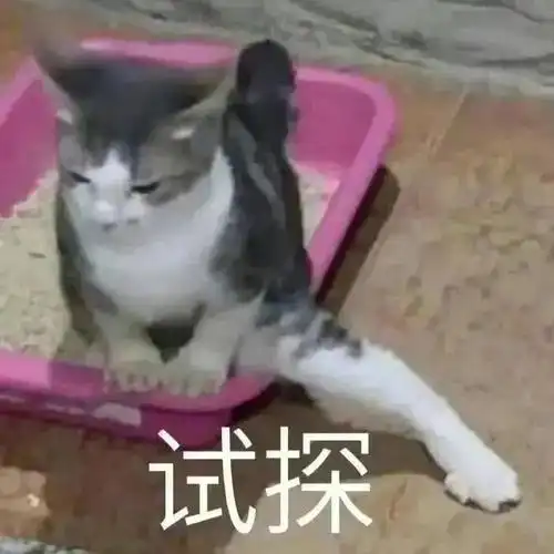 聊天搞笑表情包 | 臭宝贝在干嘛?