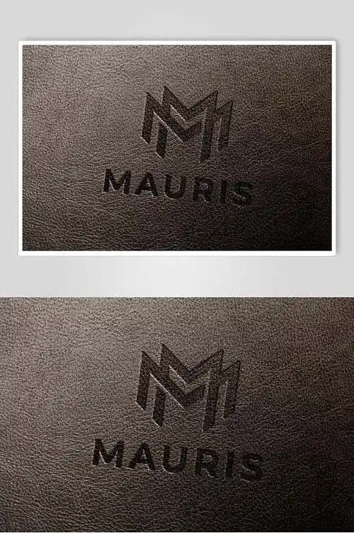 烫印样机图片-烫印样机设计素材-烫印样机模板下载-众图网