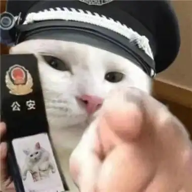 小猫咪警察搞笑表情包大全