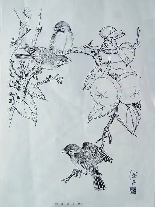 王满良白描花鸟作品欣赏