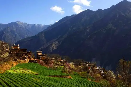 茶马古道之春(一)