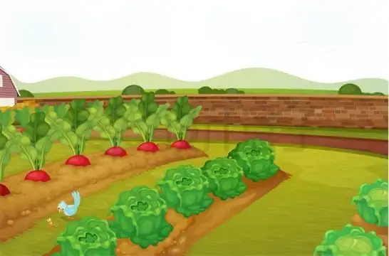 围墙里的卡通菜地种满了蔬菜4881235矢量图片免抠素材