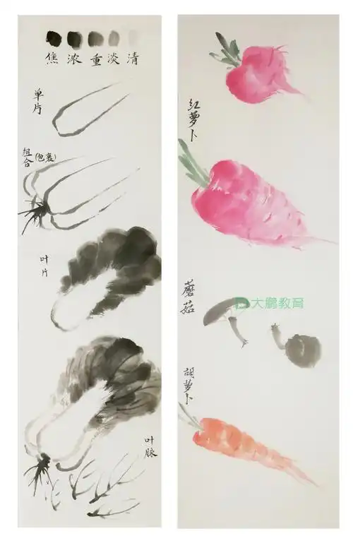 花鸟第五课《冰雪翠裳》—画白菜 萝卜