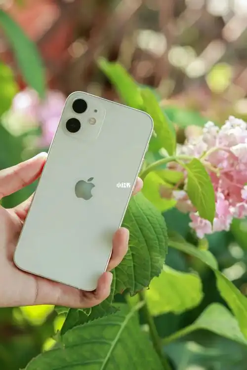 iphone12_手机_iphone_苹果手机_科技数码_移动数码_手机平板